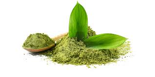 Green Tea Extract